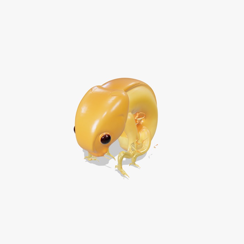 Embryo Model Pack for Scientific Visualization